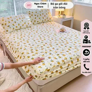 Bộ ga gối 3 Món Cotton đũi dệt bông xơ đậu lành ga gối trần bông đũi cotton, kèm 2 vỏ gối