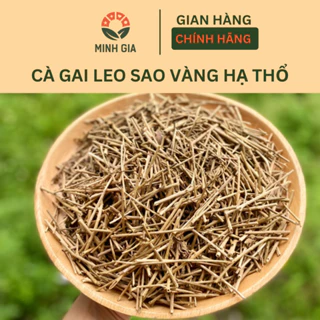 [HÀNG LOẠI 1] Cà Gai Leo Sao Vàng Hạ Thổ Hàng Loại 1 Của Minh Gia 1kg