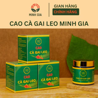 [COMBO 2 HỘP] Cao Cà Gai Leo Minh Gia Nguyên Chất 120 gram hợp tác Viện Dược Liệu Sản xuất