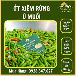 [Hũ 500ml-1000ml] Ớt Xiêm Rừng Sóc Muối nhà Chạm Vị Tây Nguyên - Thơm Cay Giòn