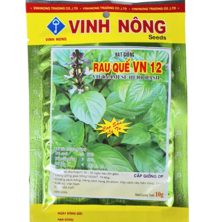 Hạt Giống Rau Quế Lá To (gói 10g), Hạt Giống Húng Quế