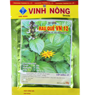 Hạt Giống Rau Quế lá to (10gr), rau húng quế