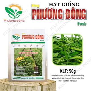 HẠT GIỐNG RAU MUỐNG LÁ TRE 50gr - MUA 3 TẶNG 1 CÙNG LOẠI- HẠT GIỐNG KING PHƯƠNG ĐÔNG