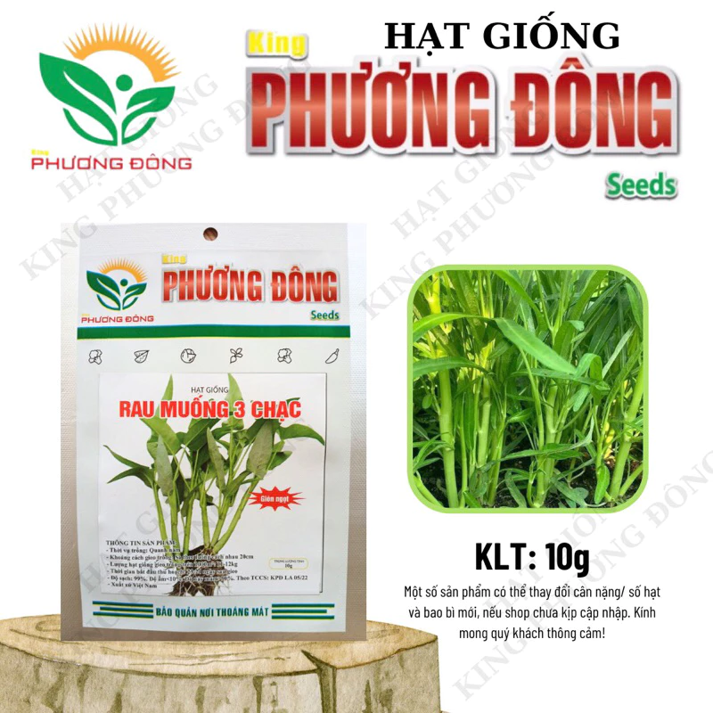 HẠT GIỐNG RAU MUỐNG BA CHẠC 10gr - MUA 3 TẶNG 1 CÙNG LOẠI