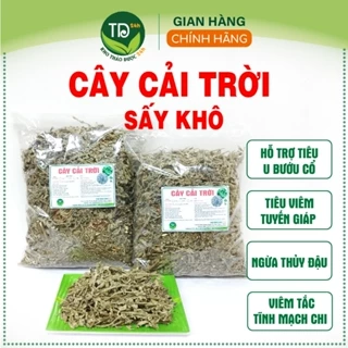 Cây cải trời khô, hỗ trợ tiêu u bướu cổ, tiêu viêm tuyến giáp, thủy đậu, viêm tắc tĩnh mạch chi