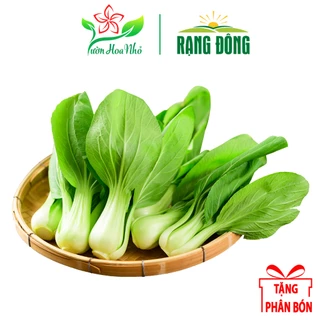 Hạt Giống Cải Thìa Rạng Đông 20g + Tặng Phân Bón