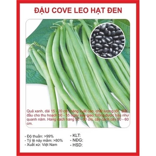 Hạt Giống Đậu Cove Leo Hạt Đen ( 50gram/gói )