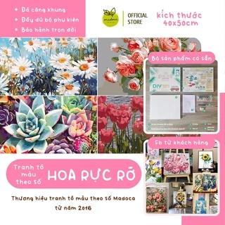 Tranh tô màu theo số Madoca, tranh số hóa chủ đề Hoa rực rỡ kích thước 40x50cm có khung