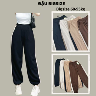 Quần jogger Bigsize nữ dài sọc sườn bo gấu lưng thun chất gân dày dặn mềm mịn - QSSUON