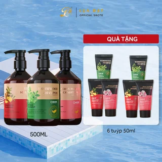 Bộ dầu gội xả dược liệu CHIKO chống rụng tóc khống chế dầu phục hồi tóc hư tổn 50ml 500ml