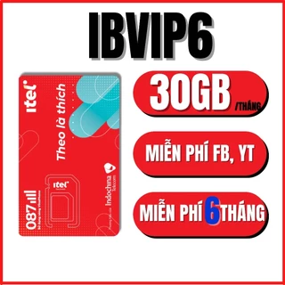 Sim 4G Vinaphone ITEl Trọn Gói 6 Tháng - 12 Tháng Không Giới Hạn Data Kèm Phút Gọi Miễn Phí IB360 IBKID IBVIP6 IBVIP12