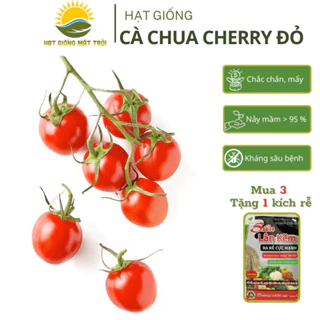 Hạt giống Cà Chua Cherry Đỏ MT722 tăng sản,trồng quanh năm,Mua 3 Tặng 1 kích rễ - HẠT GIỐNG MẶT TRỜI