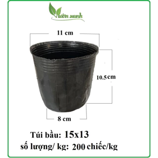 1 chiếc bầu ươm cây, ươm hạt giống cỡ 15x13 tiện dụng.