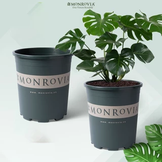 Chậu nhựa trồng cây MONROVIA 7 Gallon lớn, decor trong nhà, ngoài trời, sân vườn, bền bỉ, sang trọng, tiêu chuẩn Châu Âu