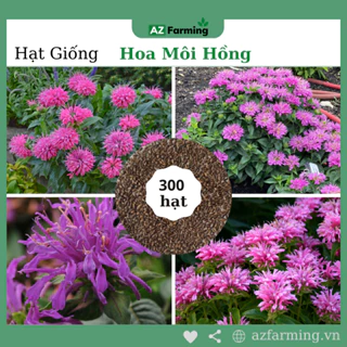 Hạt Giống Hoa Môi Hồng - Gói 300 Hạt - AZ Farming