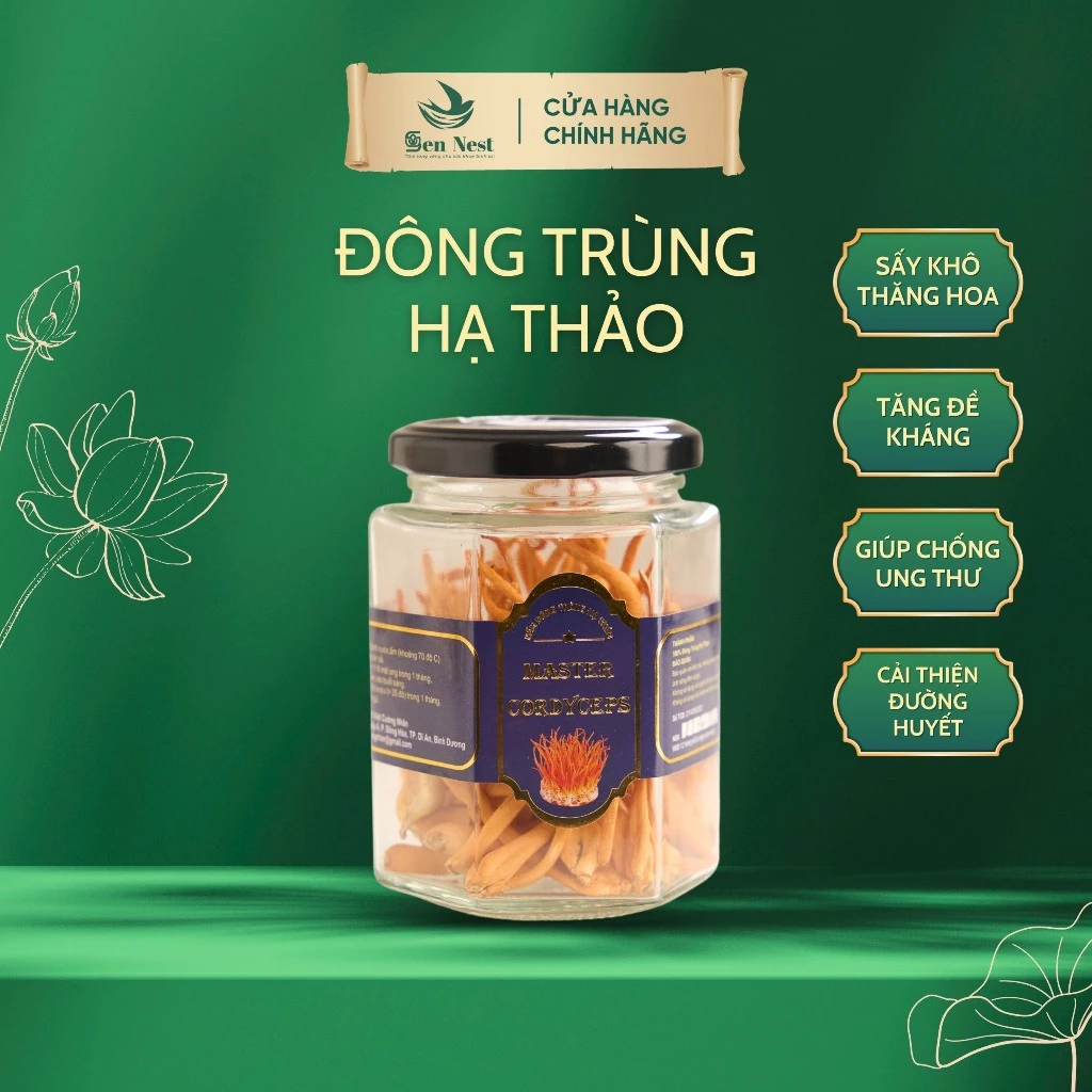 Đông trùng hạ thảo khô sấy thăng hoa đóng hộp 10gram loại 1 bổ sung dinh dưỡng SENNEST