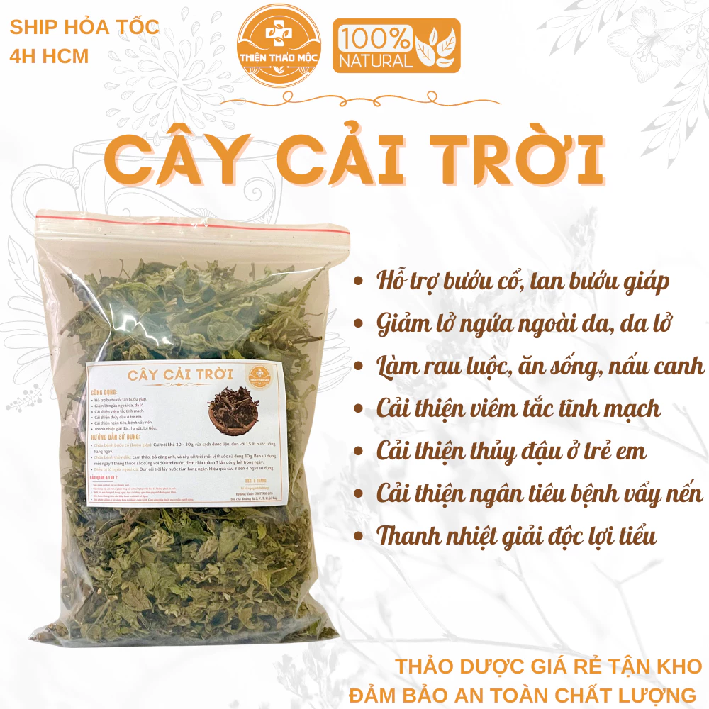 500g Cây Cải Trời Thiện Thảo Mộc (Mới, Khô, Sạch) - Bứu Cổ, Lở Ngứa, Thuỷ Đậu, Vẩy Nến, Lợi Tiểu