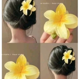Kẹp tóc hoa sứ 8cm - Kẹp tóc hình hoa nhiều mẫu