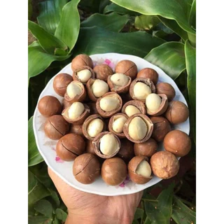 HẠT MACCA (lọ 500gr)