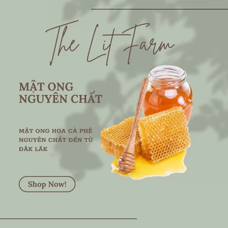 Mật ong nguyên chất 100% hoa cà phê Đăk Lăk