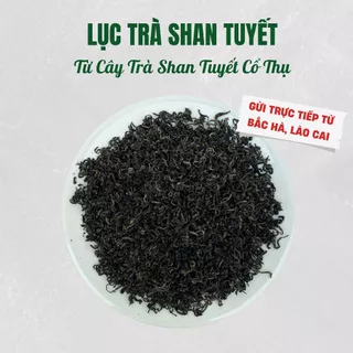 Lục Trà Shan Tuyết Cổ Thụ Vụ Xuân (Túi 500gr) - Giá Mua Trực Tiếp Tại Xưởng Sản Xuất