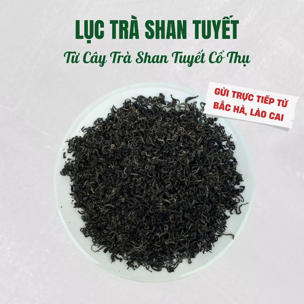 Hồng Trà Shan Tuyết Cổ Thụ Vụ Xuân (Túi 500gr) - Giá Mua Trực Tiếp Tại Xưởng Sản Xuất