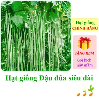 [Seeds] Hạt giống Đậu đũa siêu dài Rạng Đông Rado 657 (gói 10 gram khoảng 80 hạt) - Hàng chính hãng