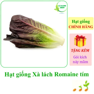 [Seeds] Hạt giống rau Xà lách Romaine tím Rado 61 (gói 2 gram khoảng 1000 hạt) - Hàng chính hãng