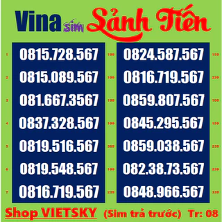 SIM SỐ ĐẸP vina -TR 6.7.8 - Dễ Nhớ - Phong Thuỷ - Cặp gánh, SIM  được nhiều người yêu  thích