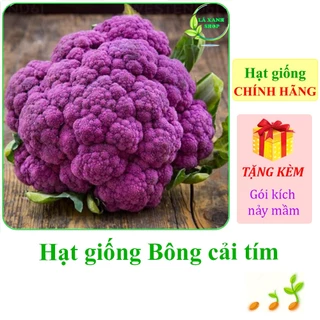 [Seeds] Hạt giống Bông cải tím (Lơ tím) Rạng Đông Rado 228 (gói 1g khoảng 300 hạt) - Hàng chính hãng