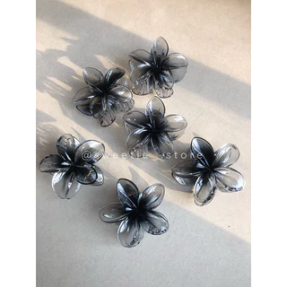 [HÀNG SẴN] Kẹp hoa sứ trong suốt đen siêu hot size chuẩn 8cm