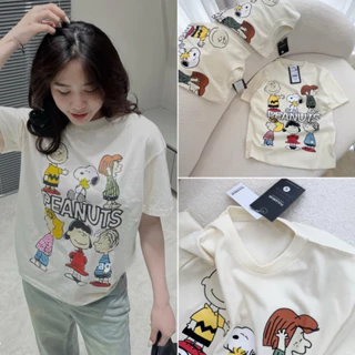 ÁO THUN NỮ PNB, ÁO PHÔNG KEM PEANUTS IN 6 HOẠT HÌNH CUTE COTTON QCCC 2024