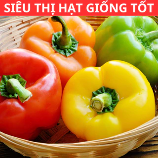 [50 HẠT] Hạt giống ớt chuông ngọt siêu trái Mix đủ màu (tặng phân bón)