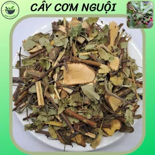 Cây Cơm Nguội, túi 500g và 1kg cành lá cắt ngắn sấy khô, hàng mới