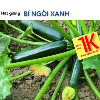 DEAL 1K- Hạt giống bí ngòi xanh, độ thuần:>99%, tỷ lệ nảy mầm:>90%, xuất xứ: Việt Nam