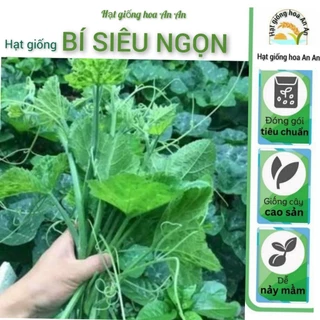 Hạt giống Bí siêu ngọn cao sản | Tỷ lệ nảy mầm >90%