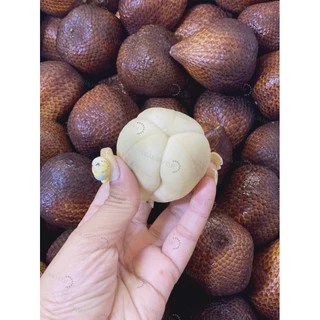 Mây indonesia (Salak Pondoh Jogja) - ĐỌC KỸ MÔ TẢ