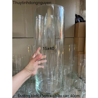 (D15cm x H40cm) Lọ hoa bình bông thuỷ tinh trụ tròn 15x40cm - bể cá mini - terrarium