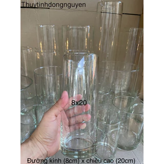 (D8cm x H20cm) Lọ hoa bình bông thuỷ tinh trụ tròn 8x20cm (đường kính 8cm x cao 20cm)