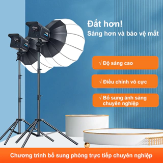 Bộ Đèn Chụp Studio Hình Cầu 65CM，Livestream，Bộ đèn Ngàm Softbox chiếu sáng，Phòng Chụp Sản Phẩm