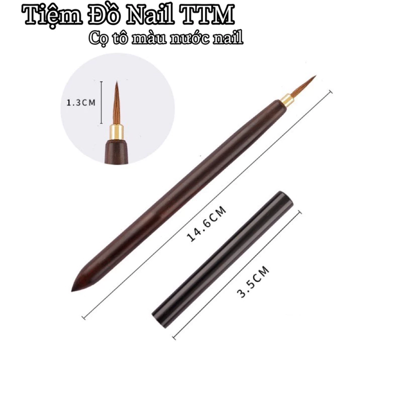 Cọ vẽ màu nước cao cấp lông tự nhiên cán gỗ