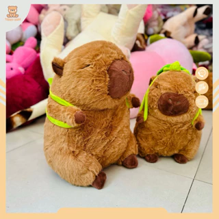 Gấu bông Chuột Lang Nước Capybara - Gấu Bông Teddy Xoài