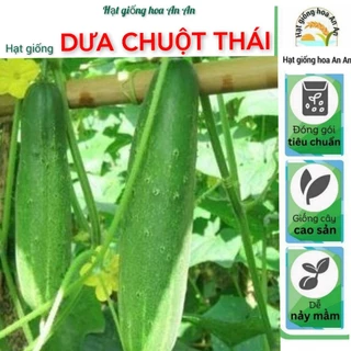 30 Hạt giống dưa chuột thái F1 giòn ngọt dễ trồng | Tỷ lệ này mầm trên 80% | Mua 3 tặng 1