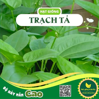 Gói 50 Hạt giống cây Trạch tả - Mã đề nước