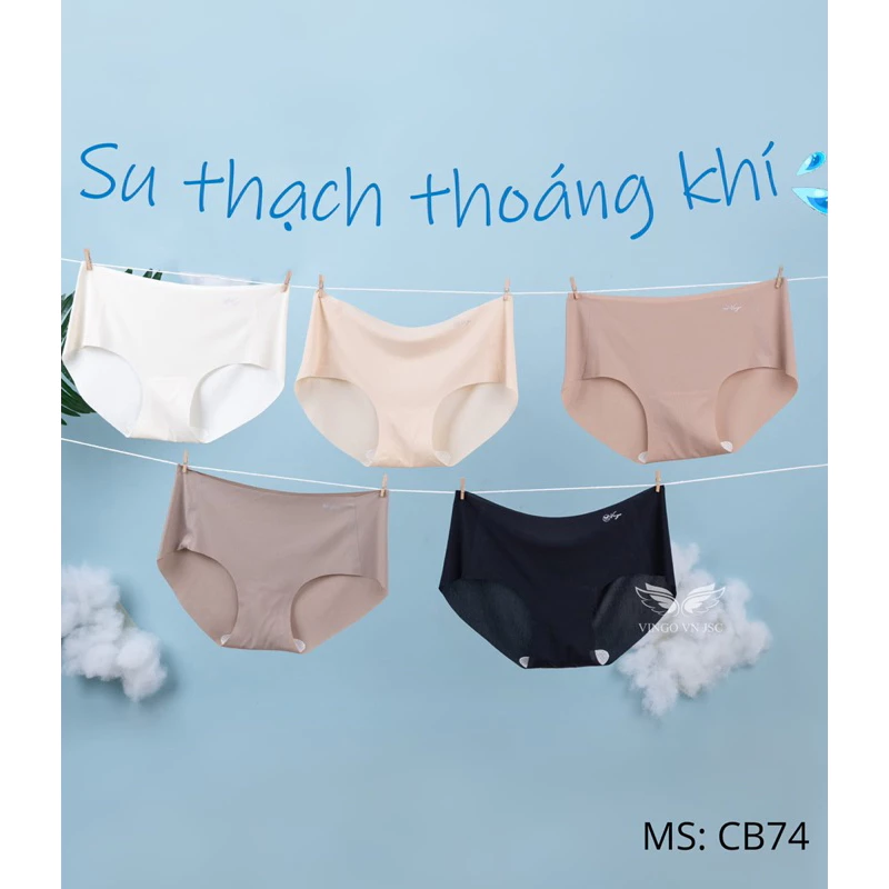 Set 5 Quần su băng lụa kháng khuẩn ko đường may cao cấp 65