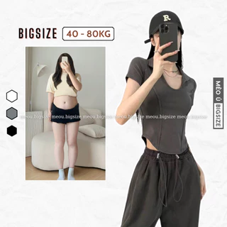 Áo thun nữ BIGSIZE áo thun croptop cộc tay dáng ôm cổ bẻ 315