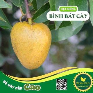 Hạt Giống Cây Bình Bát Thân Gỗ - Gói 10 hạt