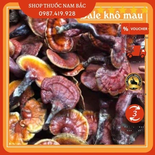 100g Nấm Lim Xanh ( khô )