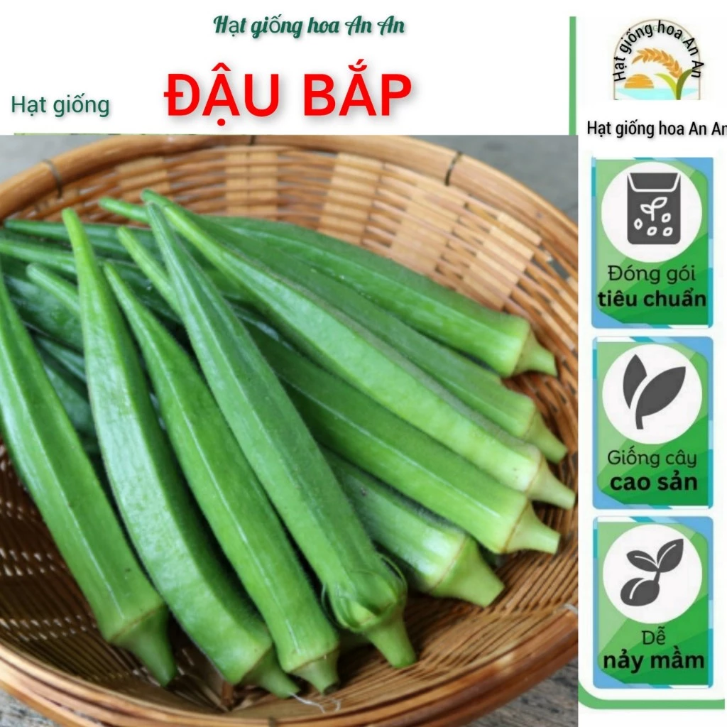 [TOP BAN CHẠY ] Hạt giống Đậu Bắp xanh cao sản | Hạt giống hoa An An.