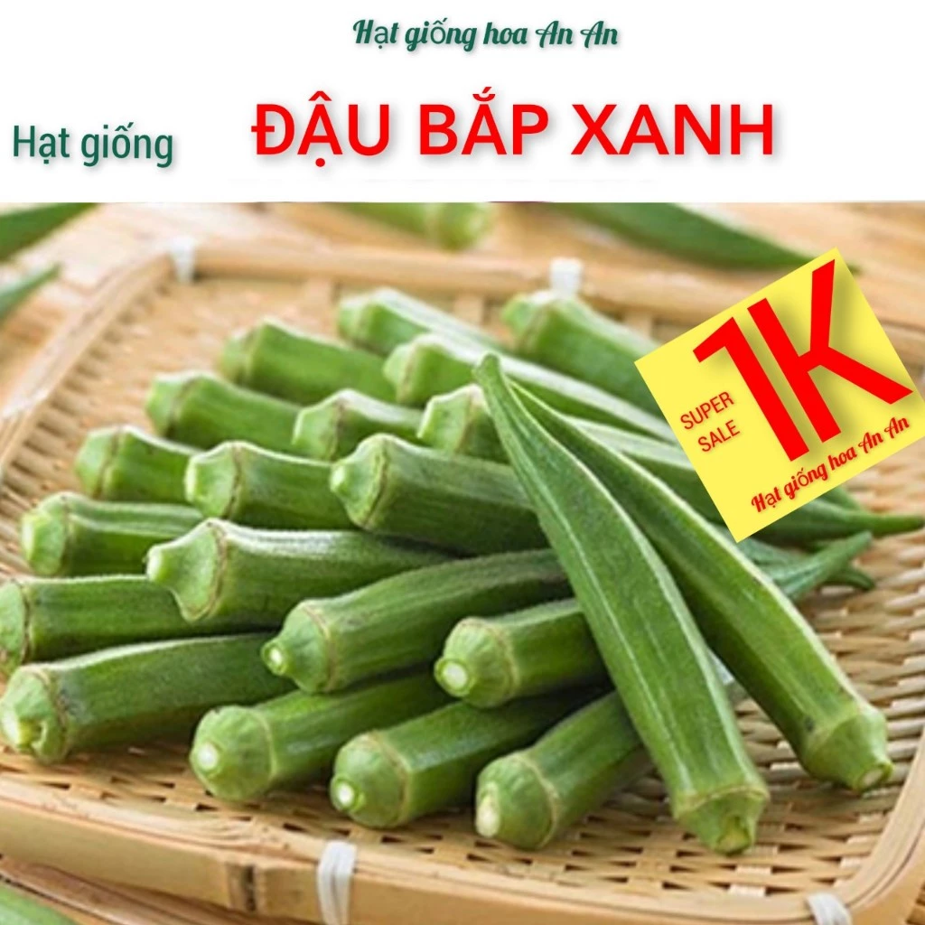 DEAL 1K - 20 Hạt giống đậu bắp xanh cao sản | Tỷ lệ nảy mầm cao.